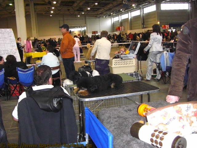 CACIB_2009_13