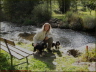 Hundeurlaub_27